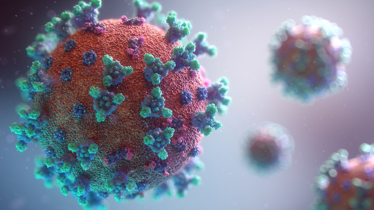 Imagen ilustrativa de «Lo que la pandemia nos enseñó»